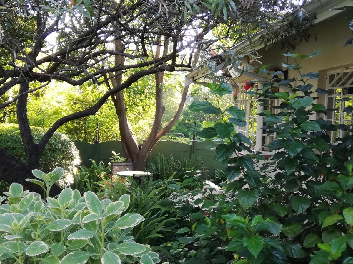 Tiree B&B Johannesburg Bagian luar foto